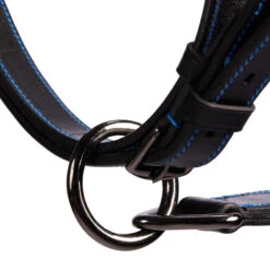 Horse And Pony Riding Leather Halter Performer 7 Horse And Pony Riding Leather Halter Performer -Weatherbeeta Sales Store k4f8576a6d883e57d2d3b48ca12430f9c
