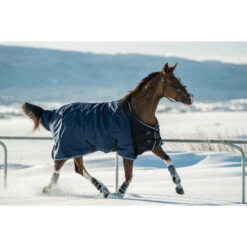 REFURBISHED ALLWEATHER HORSE RIDING AND PONY -DARK BLUE -165CM 10 REFURBISHED ALLWEATHER HORSE RIDING AND PONY -DARK BLUE -165CM -Weatherbeeta Sales Store k50a280819fed3b1c78244c20a02d220b