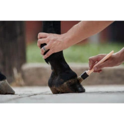 Natural Hoof Grease For Horse And Pony Top Ointment 750 Ml - Blond -Weatherbeeta Sales Store k5403cb25298235d7a785a0d95df29105