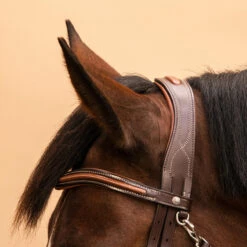 Horse Riding Crossed-Noseband Leather Bridle For Horse And Pony 580 28 Horse Riding Crossed-Noseband Leather Bridle For Horse And Pony 580 -Weatherbeeta Sales Store k547dcfc9b5baf7125500358eca3b65d0