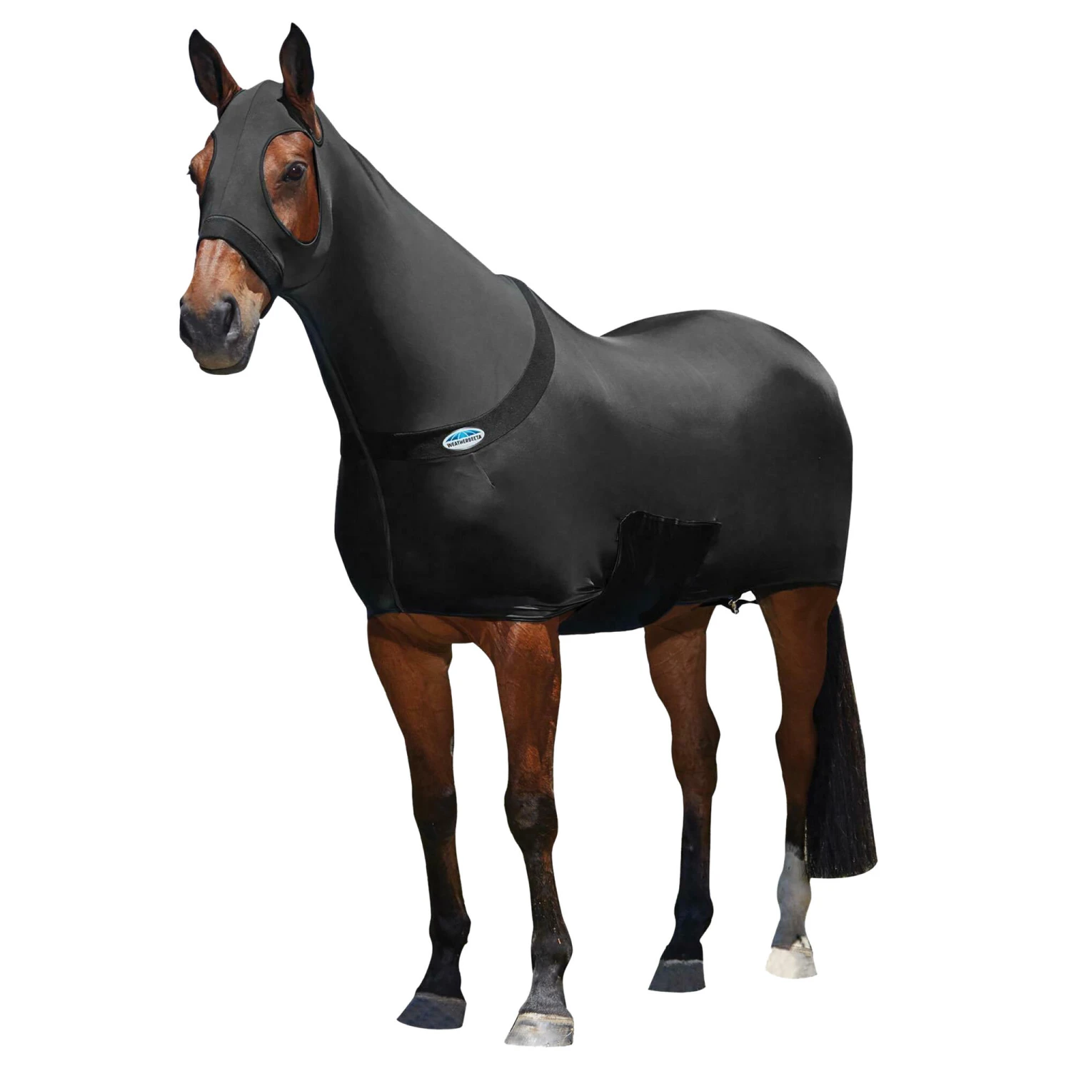 Weatherbeeta Stretch Rug (Black) 1 Weatherbeeta Stretch Rug (Black)