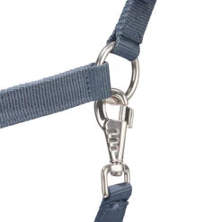 Horse Riding Halter + Leadrope Set - Nubuck/Blue -Weatherbeeta Sales Store k56e8cfa9df8ae63aff61995eada2409e