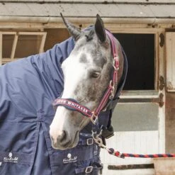 AIRFLOW HEAD COLLAR WITH LEADROPE SET 7 AIRFLOW HEAD COLLAR WITH LEADROPE SET -Weatherbeeta Sales Store k5759a33801e4ccd6d5ebee619cc2a54c