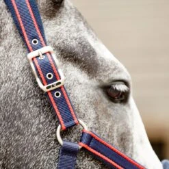 AIRFLOW HEAD COLLAR WITH LEADROPE SET 8 AIRFLOW HEAD COLLAR WITH LEADROPE SET -Weatherbeeta Sales Store k578de15be2b3d7dd585af1a4329902fb