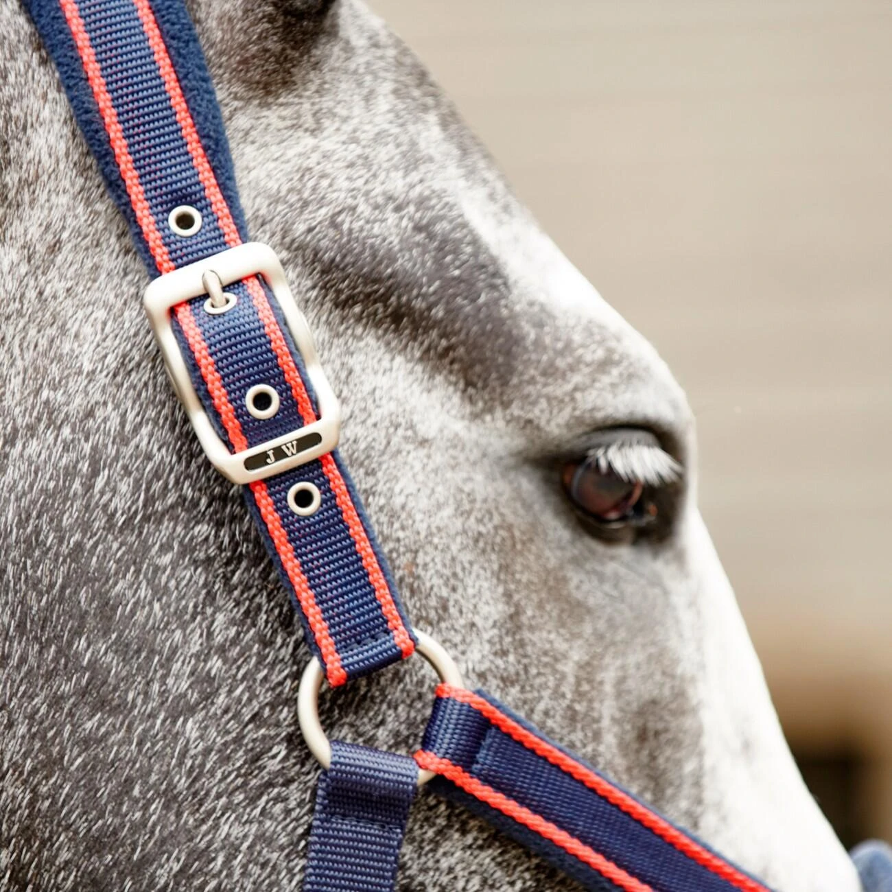 AIRFLOW HEAD COLLAR WITH LEADROPE SET 4 AIRFLOW HEAD COLLAR WITH LEADROPE SET - Image 4