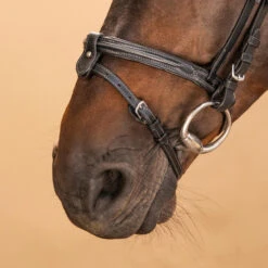 Horse & Pony Leather Bridle With French Noseband 580 -Weatherbeeta Sales Store k5ab11b53fd964453c48172b6390d78cd