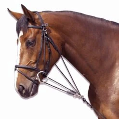 Horse Riding Schooling Gogue For Pony 29 Horse Riding Schooling Gogue For Pony -Weatherbeeta Sales Store k5bb49fe30b6ac042080beb9699d5f458