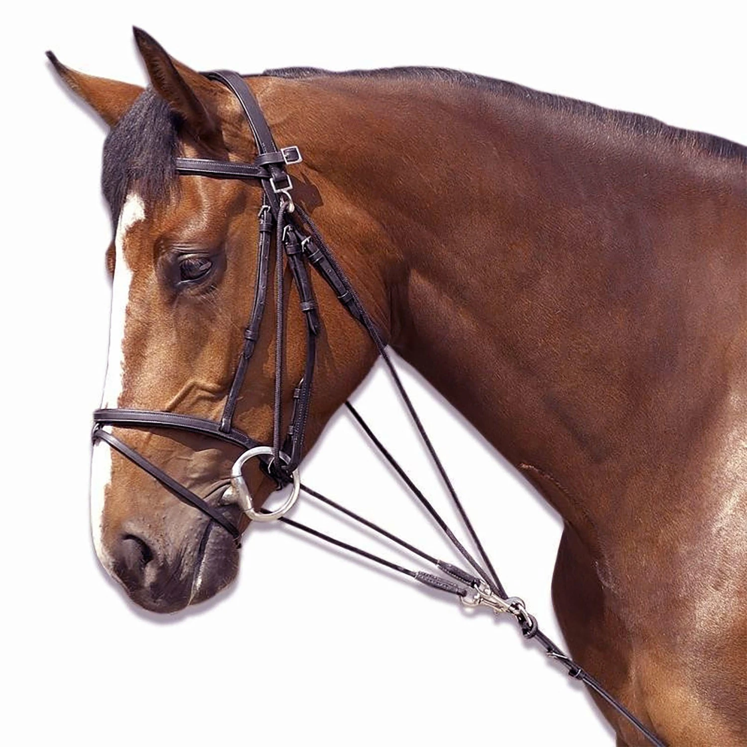 Horse Riding Schooling Gogue For Pony 15 Horse Riding Schooling Gogue For Pony - Image 15