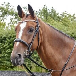 Lynton Snaffle Bridle With X2 Browbands -Weatherbeeta Sales Store k5c0f97be4fc26e500ea3fda1bc645e3f