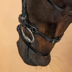 Horse Riding Glossy Leather Bridle With French Noseband For Horse & Pony 580 -Weatherbeeta Sales Store k5e8128219971bc630bbd670d41a0c118