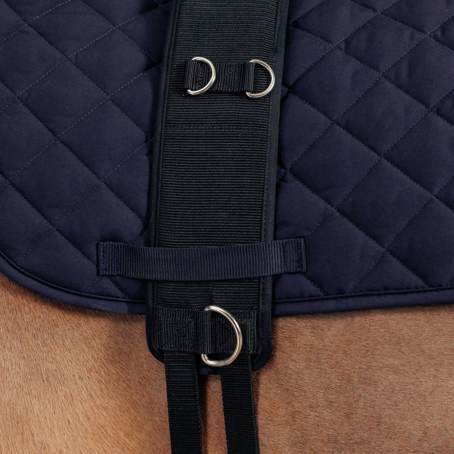 Horse Riding Horse Or Pony Lunging Roller 2 Horse Riding Horse Or Pony Lunging Roller - Image 2