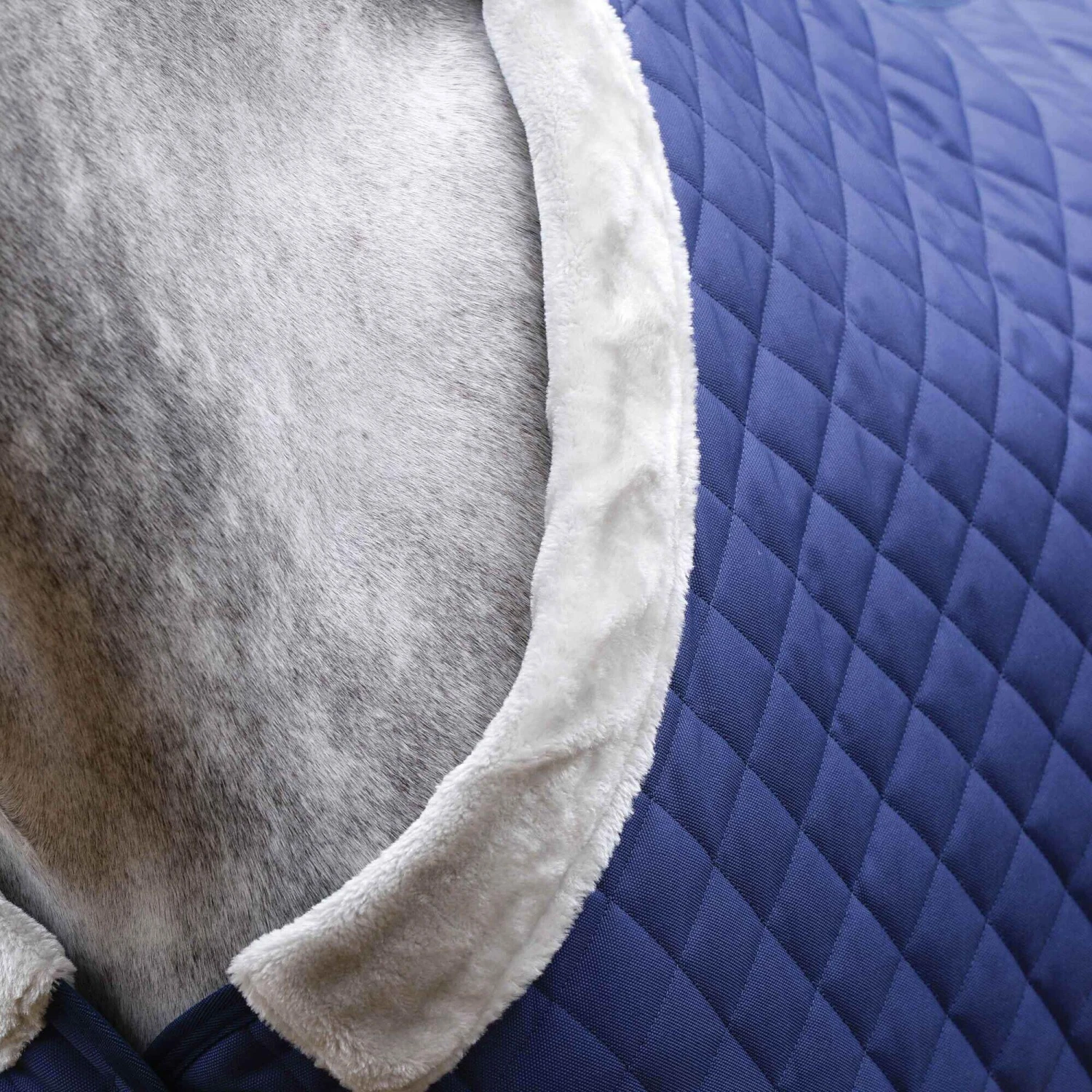 Weatherbeeta Comfitec Deluxe StandardNeck Quilted Midweight Horse Stable Rug (Navy) 3 Weatherbeeta Comfitec Deluxe StandardNeck Quilted Midweight Horse Stable Rug (Navy) - Image 3