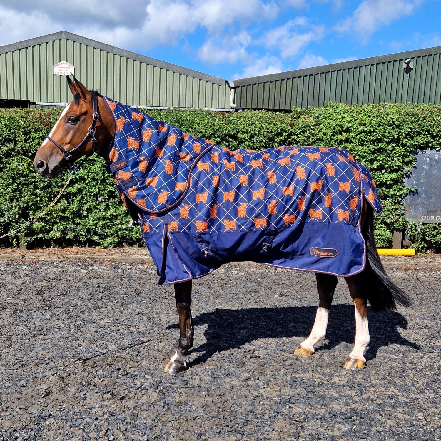 Angus 170g Medium Weight Combo Turnout 1 Angus 170g Medium Weight Combo Turnout