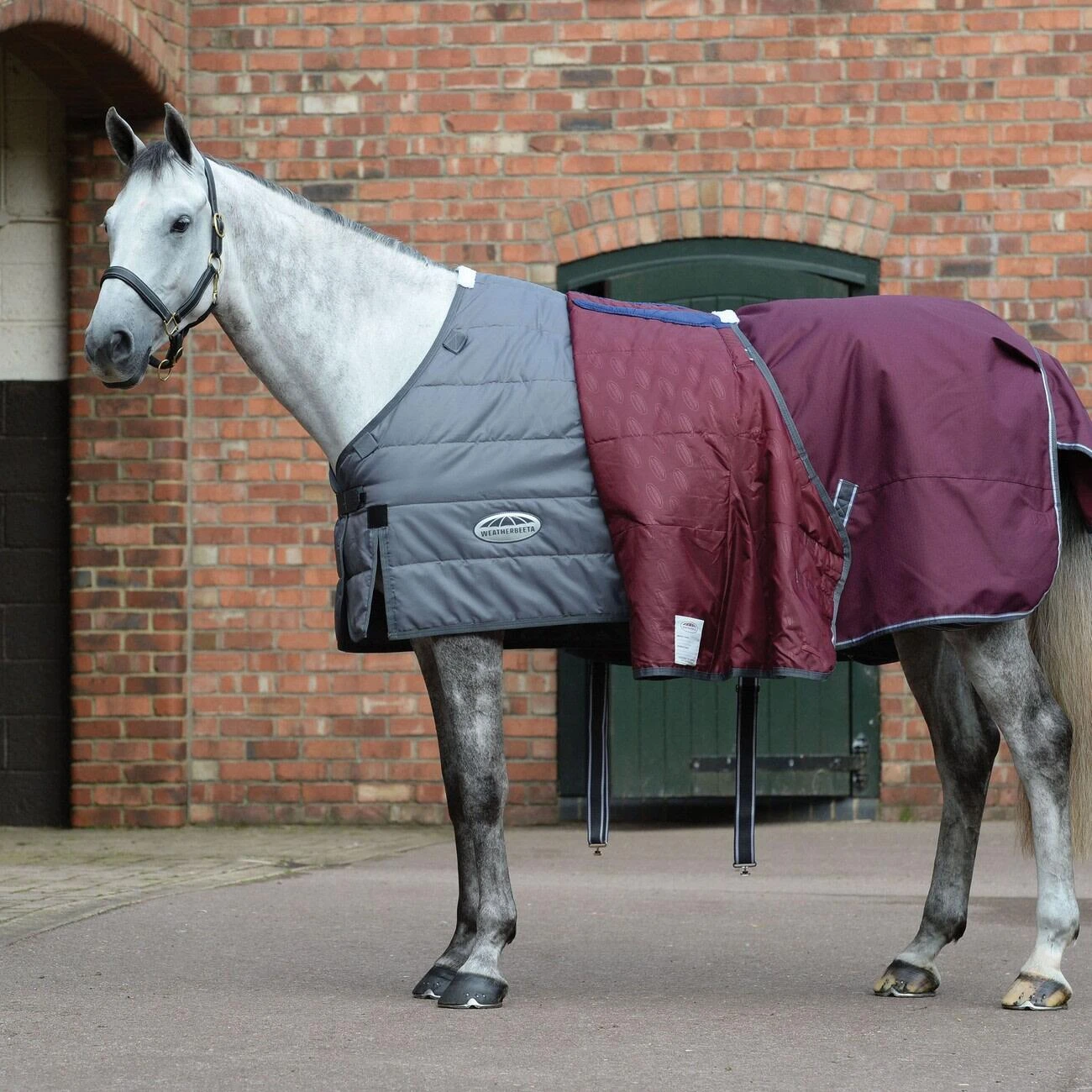 Weatherbeeta Comfitec Plus Dynamic II Detachable Neck Medium Lightweight Horse Turnout Rug 2 Weatherbeeta Comfitec Plus Dynamic II Detachable Neck Medium Lightweight Horse Turnout Rug - Image 2
