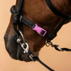 Horse Riding Synthetic Beginner Pony Bridle And Reins 100 -Weatherbeeta Sales Store k6e2e7709eee6b445462869461b8d96b9