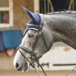 EASTWOOD CRANK BRIDLE INCLUDING REINS 11 EASTWOOD CRANK BRIDLE INCLUDING REINS -Weatherbeeta Sales Store k70d9649259ca05fd3d3efe0293f86e89