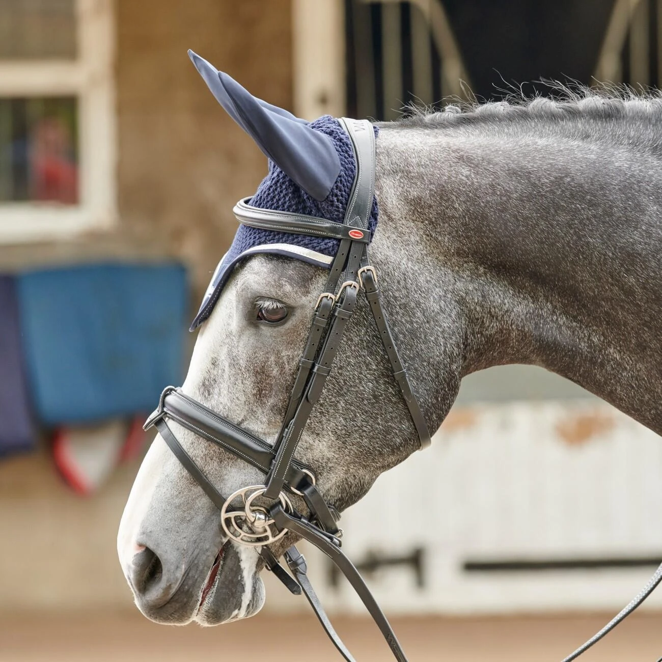 EASTWOOD CRANK BRIDLE INCLUDING REINS 6 EASTWOOD CRANK BRIDLE INCLUDING REINS - Image 6