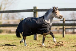 Imper 200 600D Horse Riding Rug For Pony 7 Imper 200 600D Horse Riding Rug For Pony -Weatherbeeta Sales Store k72553da92fba0ad289de357e43ae6f68