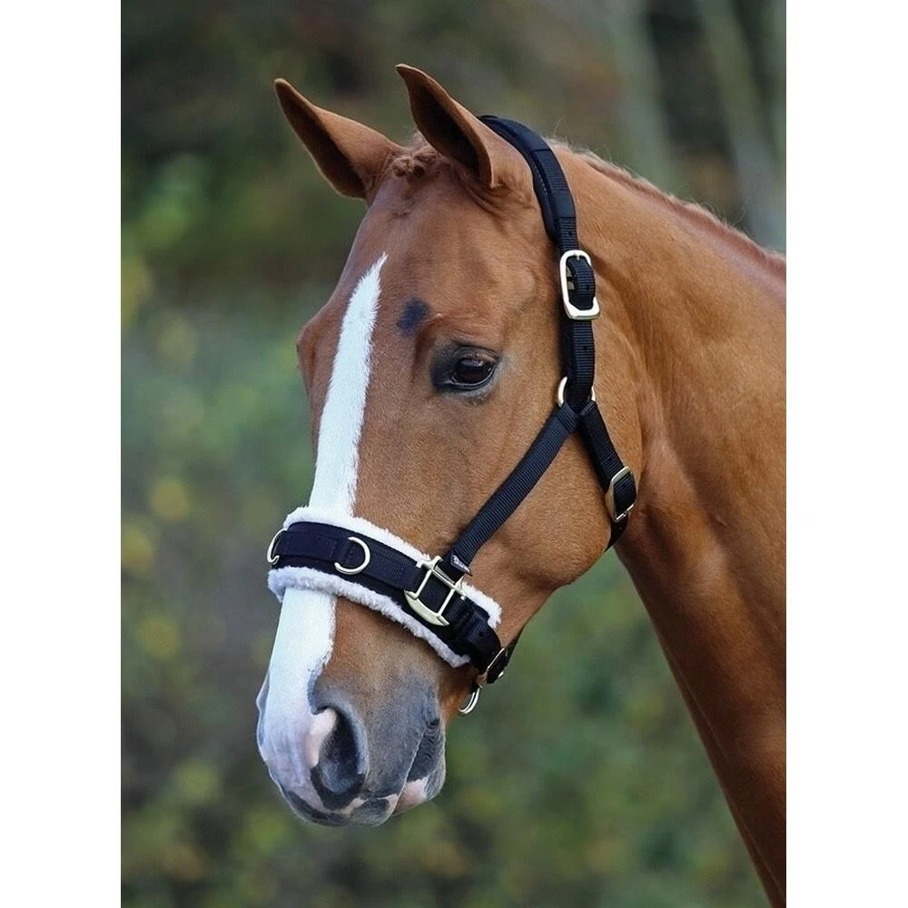 Fleece Lined Horse Lunge Cavesson (Black) 2 Fleece Lined Horse Lunge Cavesson (Black) - Image 2
