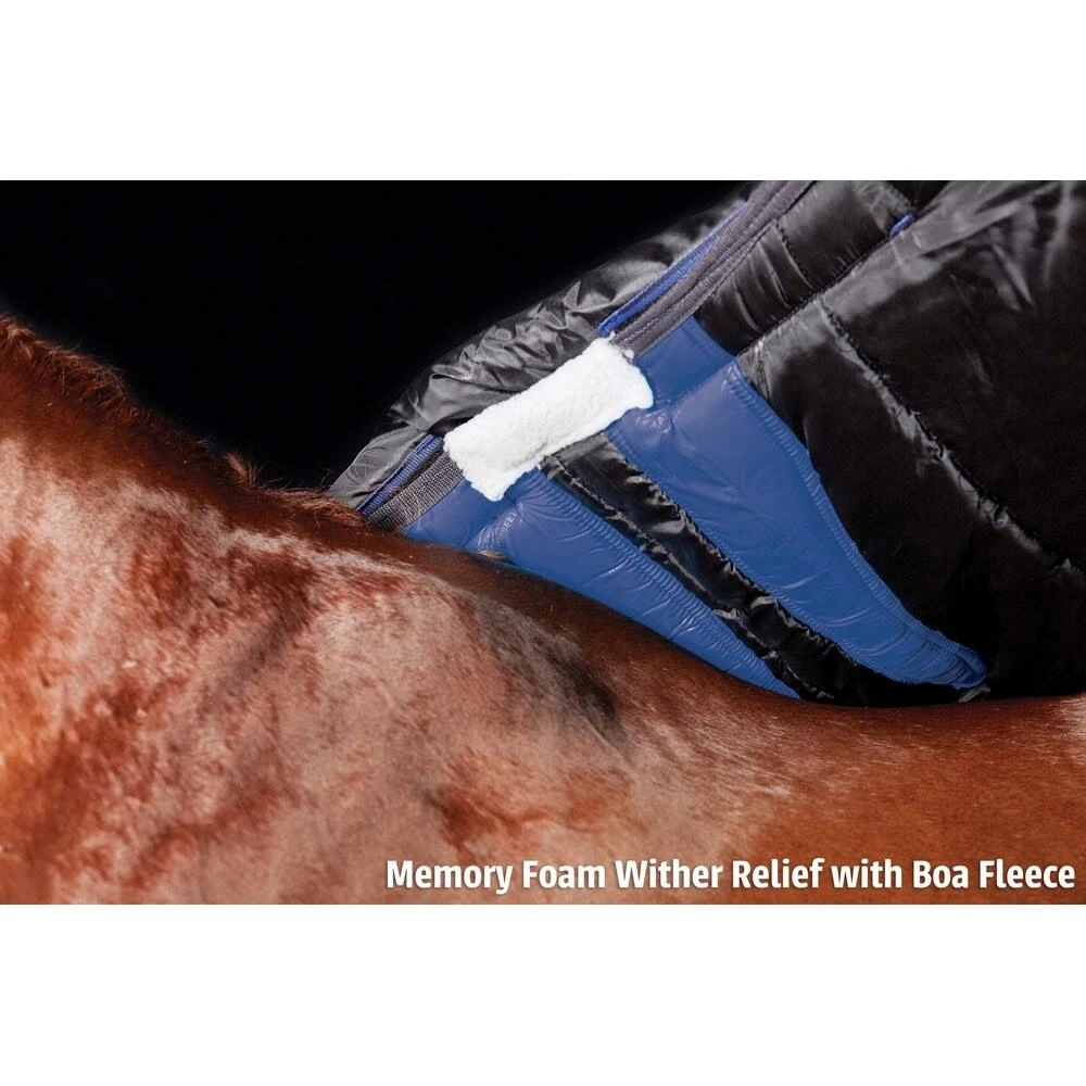 Weatherbeeta Comfitec Heavy Plus Dynamic Detachaneck Turnout Rug (Purple/Black) 2 Weatherbeeta Comfitec Heavy Plus Dynamic Detachaneck Turnout Rug (Purple/Black) - Image 2