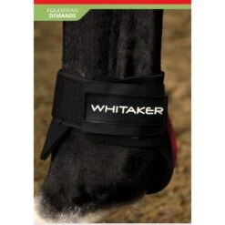 Skipton Tendon And Fetlock Boots -Weatherbeeta Sales Store k76f5475687b6602d0167b70a86cd4acc