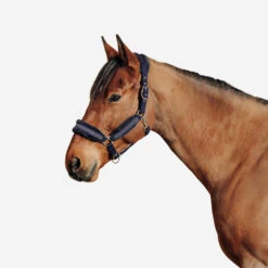 Horse Halter Comfort