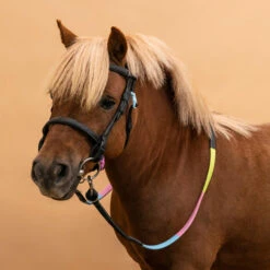Horse Riding Synthetic Beginner Pony Bridle And Reins 100 -Weatherbeeta Sales Store k77bffae934ddaebc271d32cb7064f001