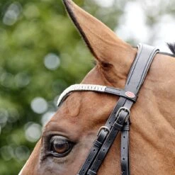 Lynton Snaffle Bridle With X2 Browbands -Weatherbeeta Sales Store k7a70aa478c428b393d6d6b742d2b08f1