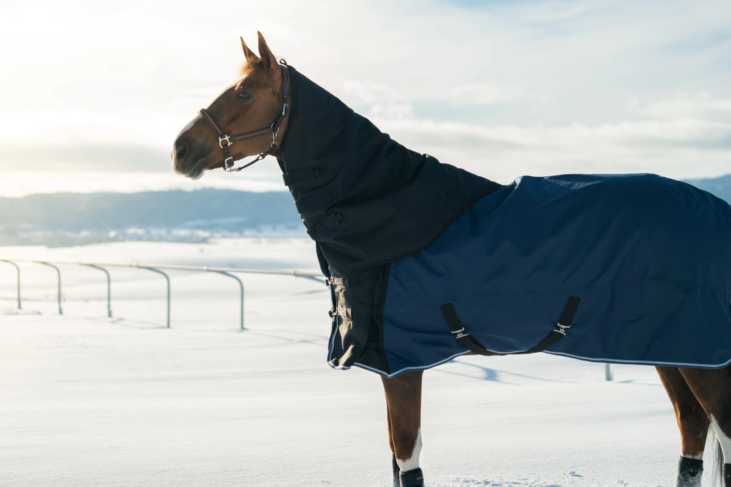 Allweather Light Horse Riding Waterproof Neck Cover 2 Allweather Light Horse Riding Waterproof Neck Cover - Image 2