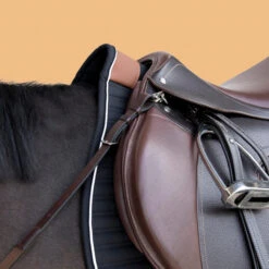 Horse And Pony Riding 3-Point Hunting Martingale -Weatherbeeta Sales Store k81c3b175286e7f80509cfacf75a74dfa