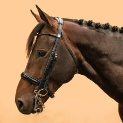 Horse & Pony Dressage Double Bridle 900