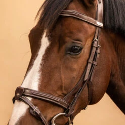 Horse Riding Leather Bridle With French Noseband For Horse & Pony 900 35 Horse Riding Leather Bridle With French Noseband For Horse & Pony 900 -Weatherbeeta Sales Store k8493642844c135340f58ffe1f7e499e6