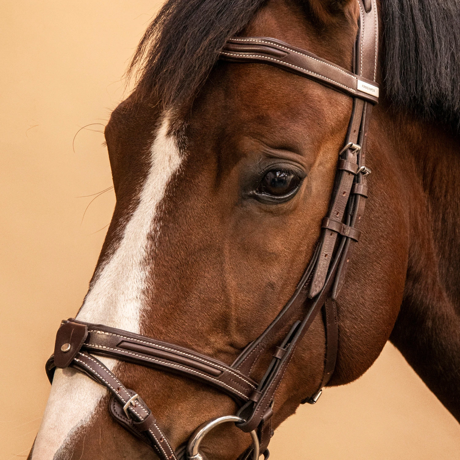 Horse Riding Leather Bridle With French Noseband For Horse & Pony 900 17 Horse Riding Leather Bridle With French Noseband For Horse & Pony 900 - Image 17