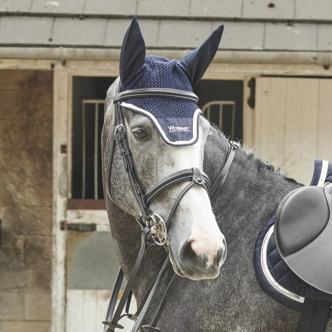 EASTWOOD CRANK BRIDLE INCLUDING REINS 3 EASTWOOD CRANK BRIDLE INCLUDING REINS - Image 3