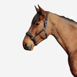 Horse Riding Synthetic Leather Halter For Horse & Pony 500