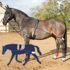 JOHN WHITAKER TRAINING SYSTEM -Weatherbeeta Sales Store k881a63f2fa3c53972895f5eb05479c2f
