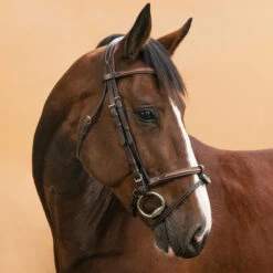 Horse & Pony Leather Bridle With French Noseband 580 -Weatherbeeta Sales Store k8827583d92cfdd6077d07832410d5e57
