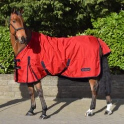 Rastrick 100g Lightweight Turnout Rug 5 Rastrick 100g Lightweight Turnout Rug -Weatherbeeta Sales Store k883ef03aa6d60dd127beb458b50beaa6