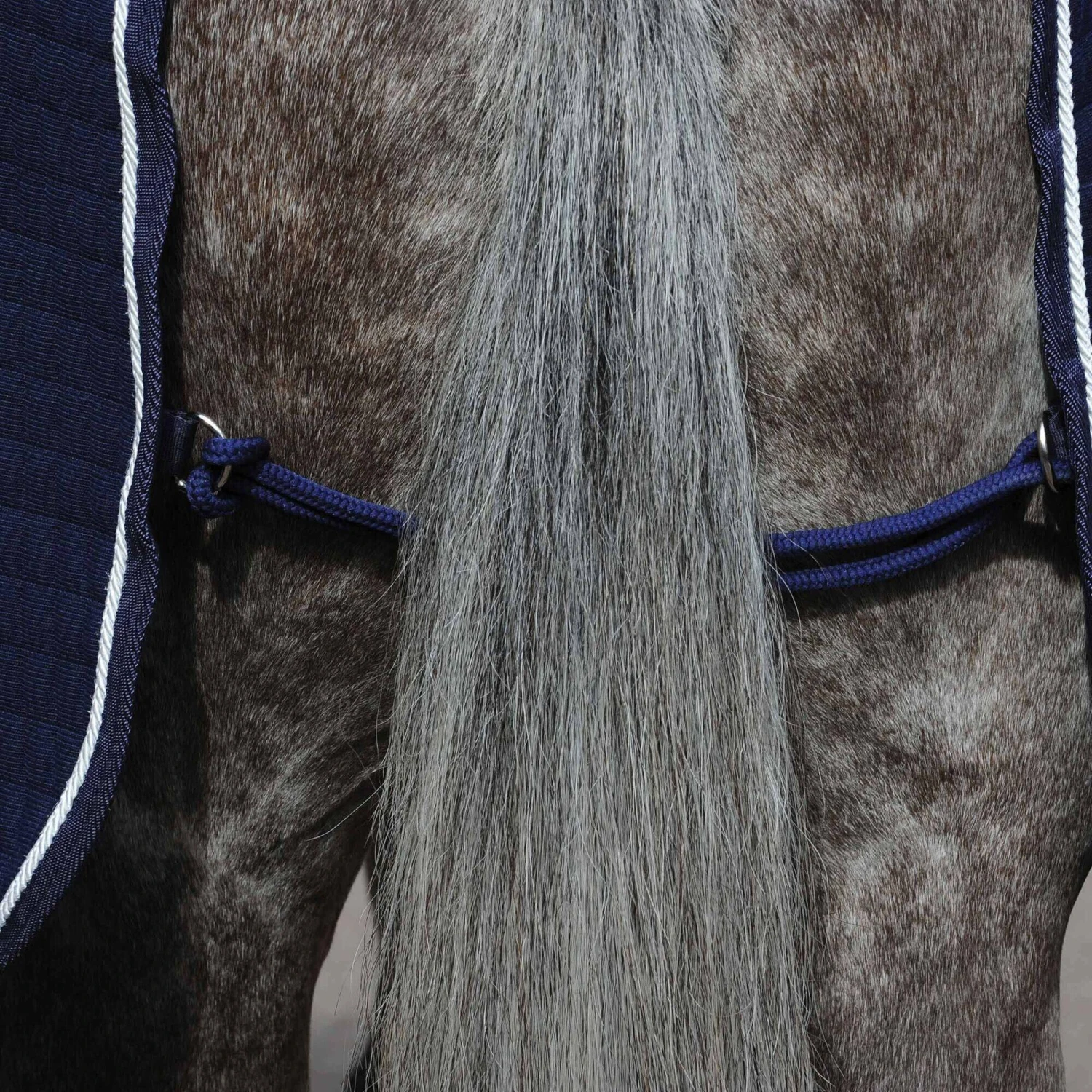 Weatherbeeta Thermocell StandardNeck Horse Cooler Rug (Navy/White) 2 Weatherbeeta Thermocell StandardNeck Horse Cooler Rug (Navy/White) - Image 2