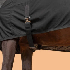 Horse Riding Microfibre Drying Sheet For Horse & Pony -Weatherbeeta Sales Store k8a26396d6c111ef5ce2be324165c56c8