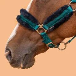 Horse Halter Comfort -Weatherbeeta Sales Store k8a77f2d92c93d60ac15412ab01c97a3e