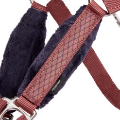 Winner Horse Riding Halter For Horse And Pony 9 Winner Horse Riding Halter For Horse And Pony -Weatherbeeta Sales Store k8c609cd472f1cc7491ce577b67f00fd1