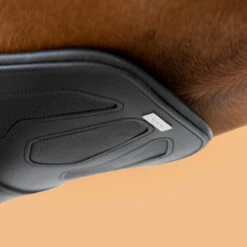 Horse Riding Leather Stud Girth For Horse And Pony 900 -Weatherbeeta Sales Store k8dcf3bdb75dac861e5131012f53156d7