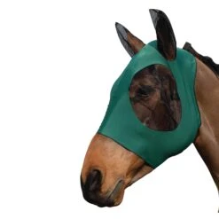 Weatherbeeta Stretch Bug Eye Saver With Ears (Red/Black) 5 Weatherbeeta Stretch Bug Eye Saver With Ears (Red/Black) -Weatherbeeta Sales Store k920227fdc89008302edeb050c2d90de7