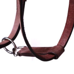 Trail Horse Riding Bridle / Halter And Reins Escape - Brown -Weatherbeeta Sales Store k9473251440898b6b9b71f0a4559d5d19