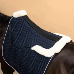 Horse Dressage Padded Saddle Cloth 900 -Weatherbeeta Sales Store k94c8d3b8fa7754991508871a2d2ed246
