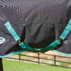Weatherbeeta GreenTec Detachable Neck Midweight Horse Turnout Rug (Black/Bottle Green) 7 Weatherbeeta GreenTec Detachable Neck Midweight Horse Turnout Rug (Black/Bottle Green) -Weatherbeeta Sales Store k95d9c16e507ed90ae9510a8b4f1b5ad8
