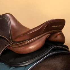 Horse And Pony Saddle Pad 500 15 Horse And Pony Saddle Pad 500 -Weatherbeeta Sales Store k98fd543ad443b6b7756574daf2518ab3