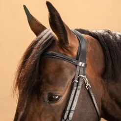 Horse Riding Glossy Leather Bridle With French Noseband For Horse & Pony 580 -Weatherbeeta Sales Store k9b682c86c7b3f0d56fe6788ea46e8660