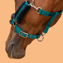 Horse Halter Comfort -Weatherbeeta Sales Store k9c731bbd73e13e7133991bdcd36654bc